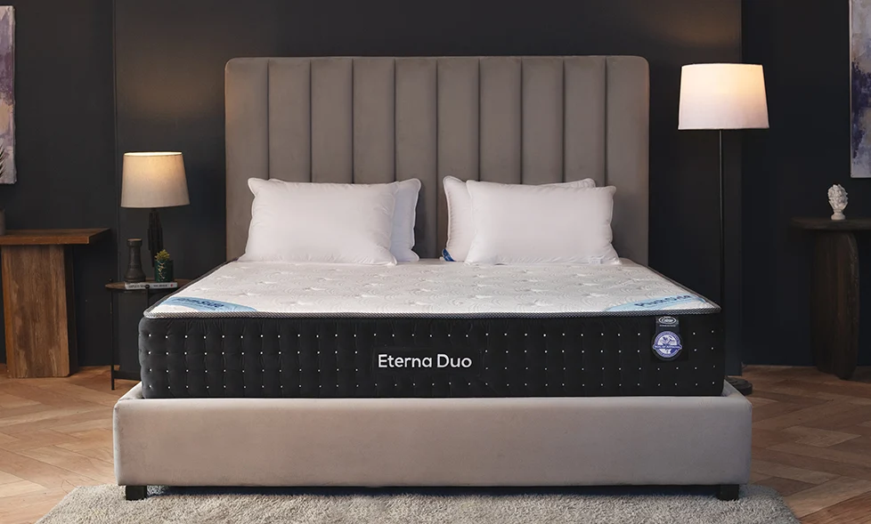 Celeste Eterna Duo 3in1