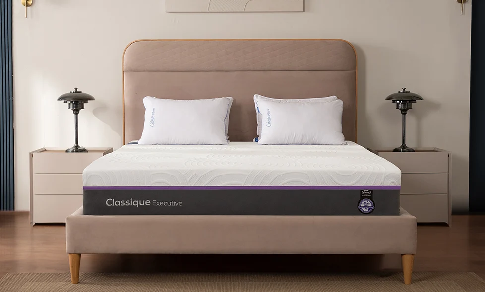 Classique Executive 2in1