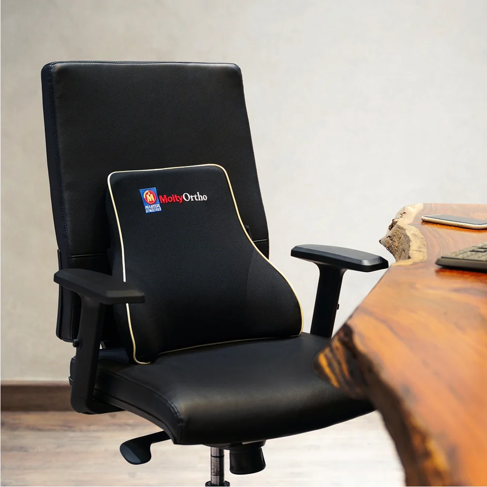Lumbar Support Cushion - Image 2