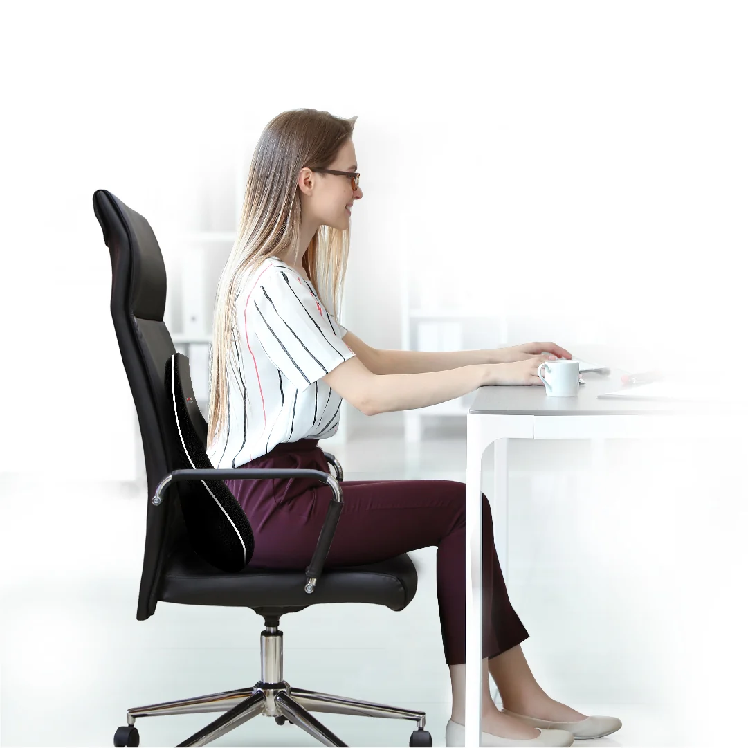 Lumbar Support Cushion - Image 3