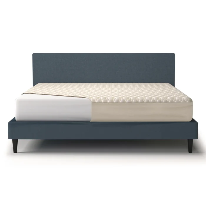 Mattress Protector