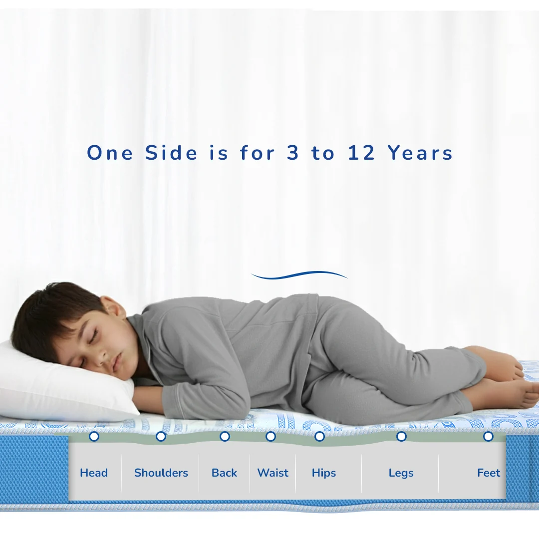Molty Junior - Image 5