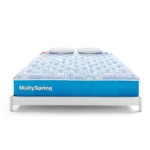 Molty Spring