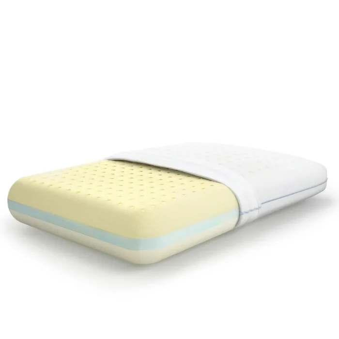 MoltyMemory 2in1 Pillow 1