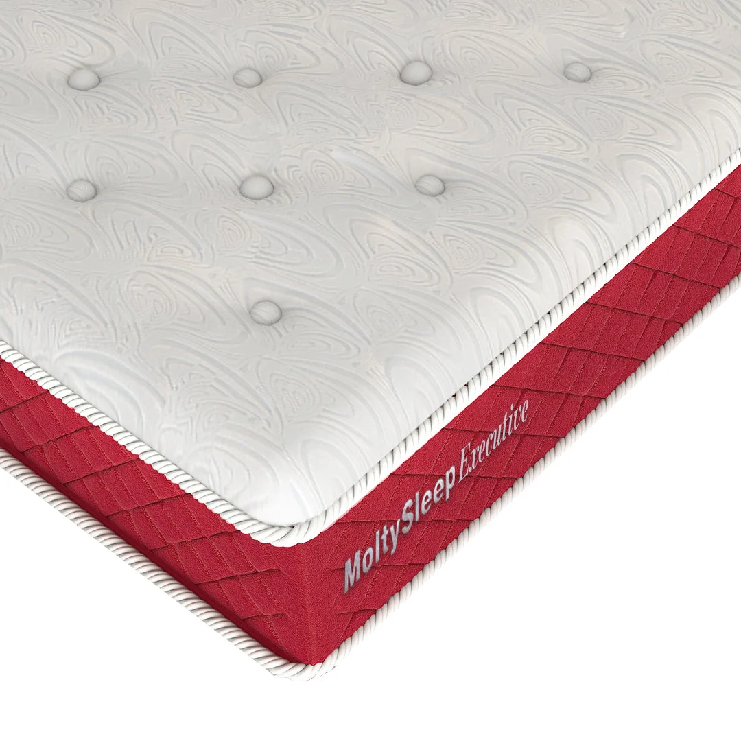 MoltySleep Executive - Image 3