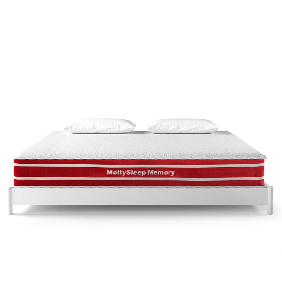 MoltySleep Memory